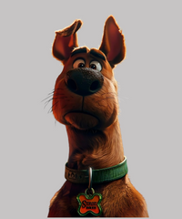 Scooby Oversized T-shirt